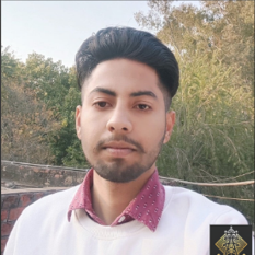 Rashik - Network Engineer